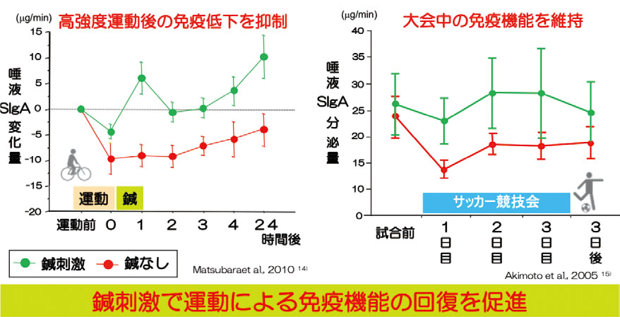 運動後の鍼刺激が免疫低下に及ぼす効果